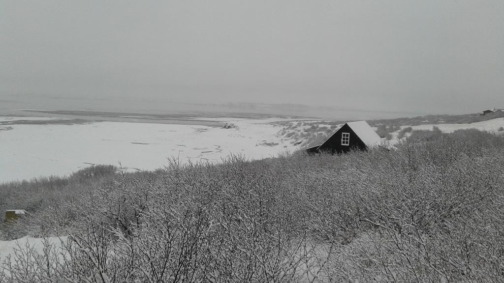 Black Timber House Borgarnes Eksteriør bilde